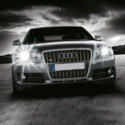 AUDI A6 D2S XENON OTO AMPUL PHOTON 4300K (2004-2008)