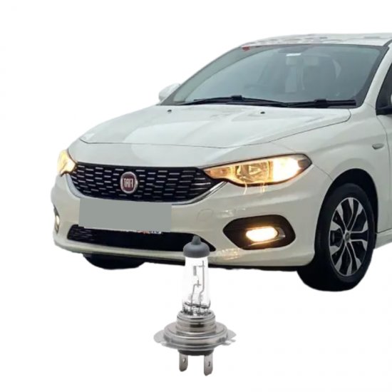 FIAT EGEA KISA FAR H7 STANDART HALOJEN OEM  OTO AMPULÜ 1 Adet 