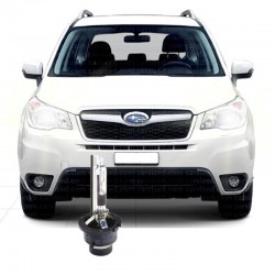 FORESTER 4 (2013-2018) XENON FAR AMPULÜ D4R 6000K