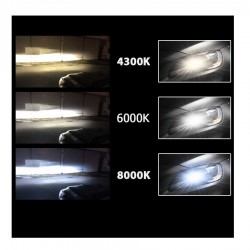 D4R XENON OTO AMPUL PHOTON 4300K