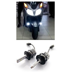 HONDA Forza 250 LED FAR AMPULÜ ZERO LED H7 2 Adet